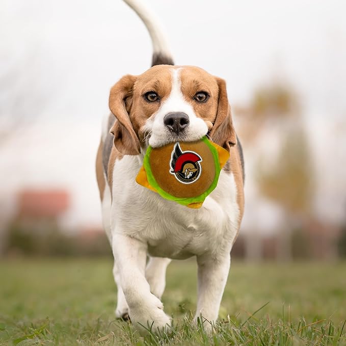 Pets First NHL Ottawa Senators Crinkle Fine Plush Dog & Cat Squeak Toy - Cutest STADIUM HAMBURGER Plush Toy for Dogs & Cats with INNER SQUEAKER & Beautiful Hockey Team Name/Logo