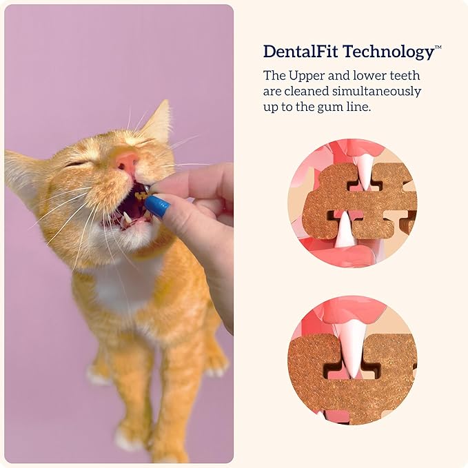 Groovies Cat Daily Dental Treats. Tasty, Crunchy Bites Cats Love. Salmon Flavor. Powered by USA-Patented DentalFit Technology. No Added Gluten, No Artificial Flavors or Colors. 7.05oz (460 Treats)
