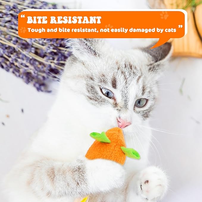 Interactive Cat Toy Set - 6 Pcs Plush Catnip Toys, Cute and Realistic Design for Engaging Pet Play