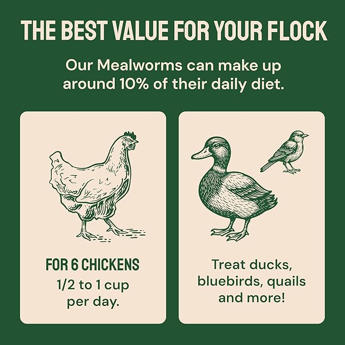 Hatortempt Dried Mealworms - Non-GMO & Organic - High-Protein Mealworms for Wild Bird Food, Ducks & Chickens (5lb)