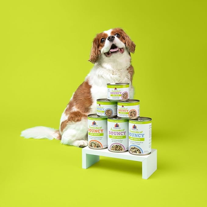 Weruva Awesome Bouncy Wet Dog Food, Chicken & Brown Rice with Veggies, 6oz Can (Pack of 8)