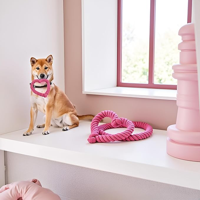 2Pcs Pink Cute Dog/Cat Chew Toys, Dog Toys for Chewers, Heavy Duty Dental Dog Rope Toy for Dogs, Creative Love Heart Shaped Interactive, Girl Puppy