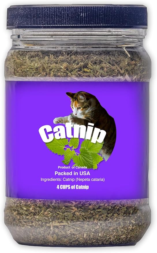 Catnip Blend - North American Crafted, 100% Natural, and Non-Addictive Catnip Treats for Enhanced Playfulness. Ideal for Complementing Catnip Toys (4 Cups) (32 oz)