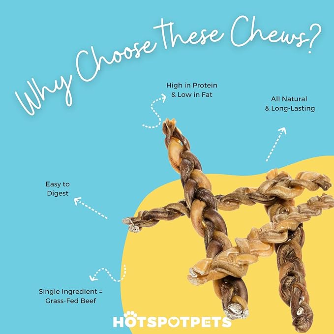 hotspot pets Braided Bully Sticks for Dogs -(12 Inch -10 Pack) All Natural Long Lasting Twisted Beef Pizzle Dog Chew Treats - Grain Free Fully Digestible Rawhide Alternative - 12 Inch Stix