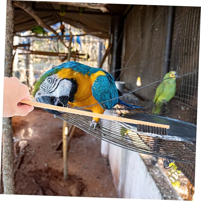 2pcs Bird Cage Cleaning Brush Droppings Cleaner Brush Kit Small Pet Cage Accessories for Bird Supplies Cleaning Tools