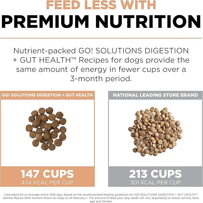 Go! Solutions Digestion + Gut Health Salmon Dry Dog Food, Premium Chicken-Free Kibble for Gastrointestinal & Digestive Wellness, Supports Sensitive Stomachs, for Puppies, Adults & Seniors, 22 lb Bag