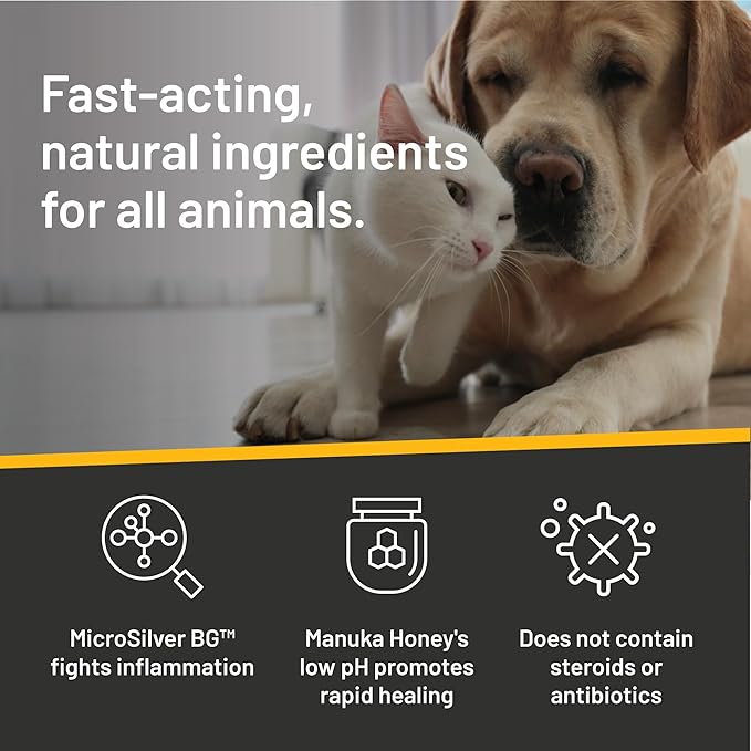 Absorbine Silver Honey Hot Spot & Wound Care Ointment 2oz Tube, Manuka Honey & MicroSilver BG, Medicated for Dogs, Cats, Small Animals (Pack of 2)