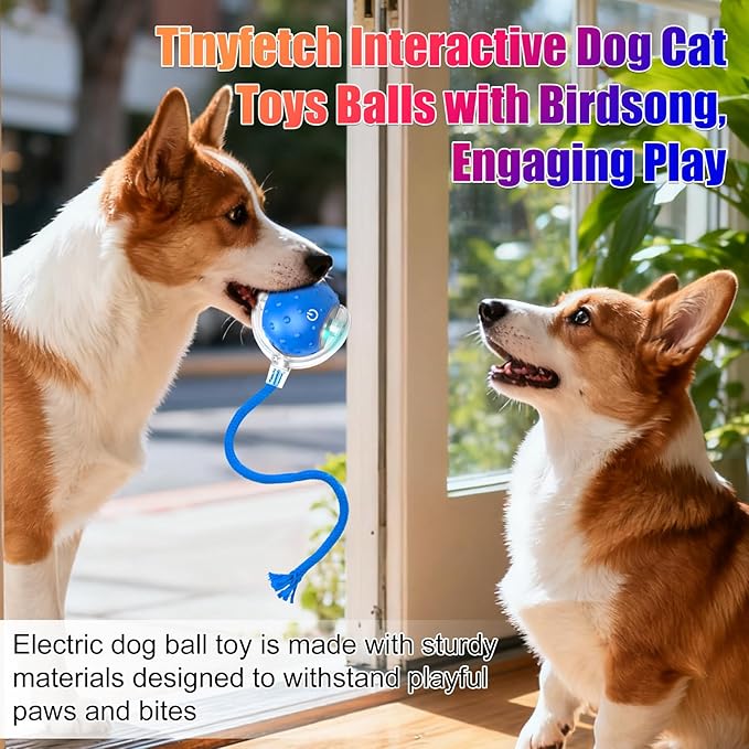 2Pcs Tinyfetch Dog Toy, Interactive Dog Cat Toys Balls with Birdsong, Rechargeable 360° Smart Automatic Rolling Electric Dog Ball Toy with Rope for Pets Indoor & Outdoor Play (Red+Blue)
