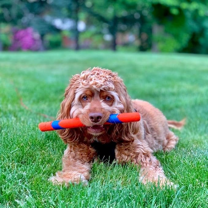 Chuckit! Ultra Fetch Stick Paraflight Flying Disc Dog Toys