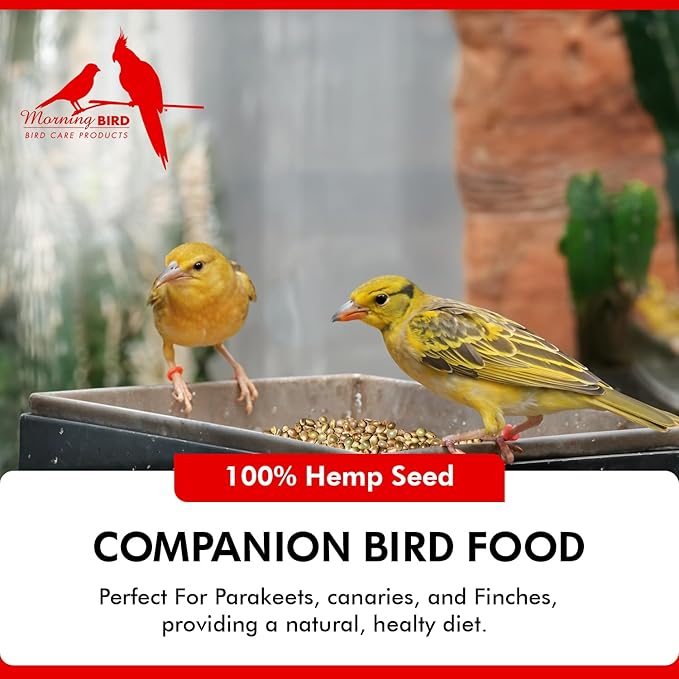 Morning Bird Hemp Seeds 18 lbs (2-Pack, 9 lbs Each) – High in Natural Protein, Healthy Fats, Omega 3 and 6 Fatty Acids, Delicious Natural Flavor, Supports Feather Growth & Overall Health