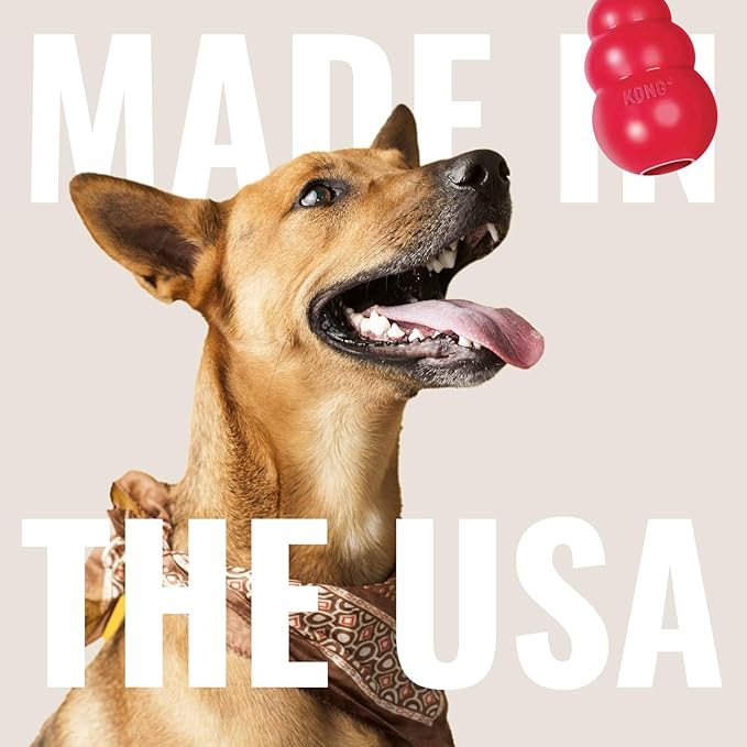KONG Flyer - Durable Dog Toy for Outdoor Playtime - Natural Rubber Flying Disc, Dog Toy for Fetch - Safer Disc for Healthy Activity - for Medium/Large Dogs