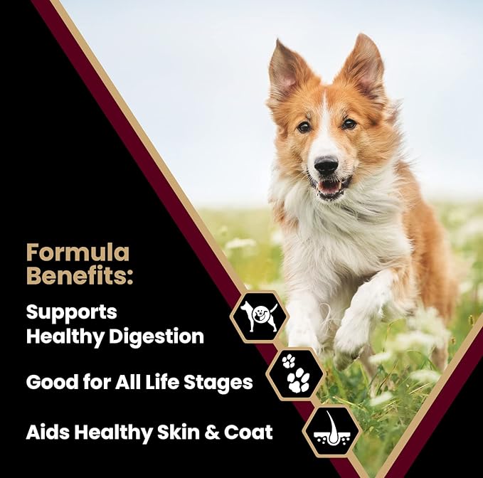 VICTOR Super Premium Dog Food – Lamb Meal & Brown Rice Formula - Gluten-Free Dry Dog Food for All Normally Active Dogs of All Life Stages – Ideal for Dogs with Meat Protein Allergies, 15 lb