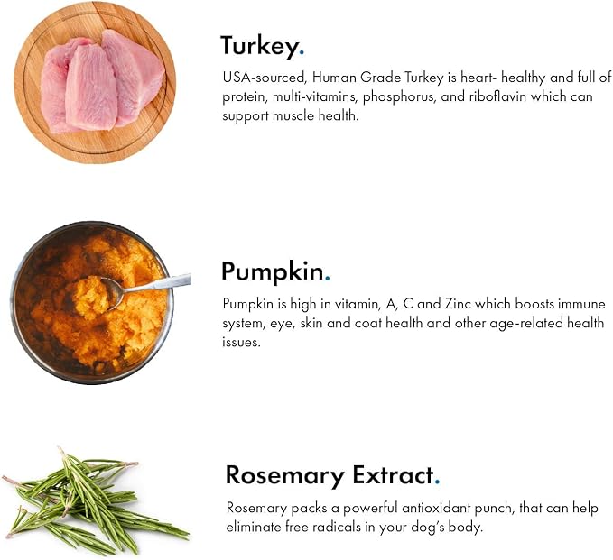 PET JERKY FACTORY Turkey & Pumpkin 12 oz. Dog Jerky Treats | 100% Human Grade | USA Made-| High Protein-| Grain Free-| Limited Ingredients-| No Filler-| BHA-BHT Free-| Soft-Tender,(Pack of 2)