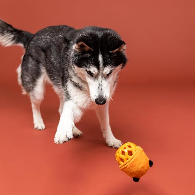 Fringe Studio Rubber Dog Toy, GO GET EM Tiger, Pet Shop Collection (519054)