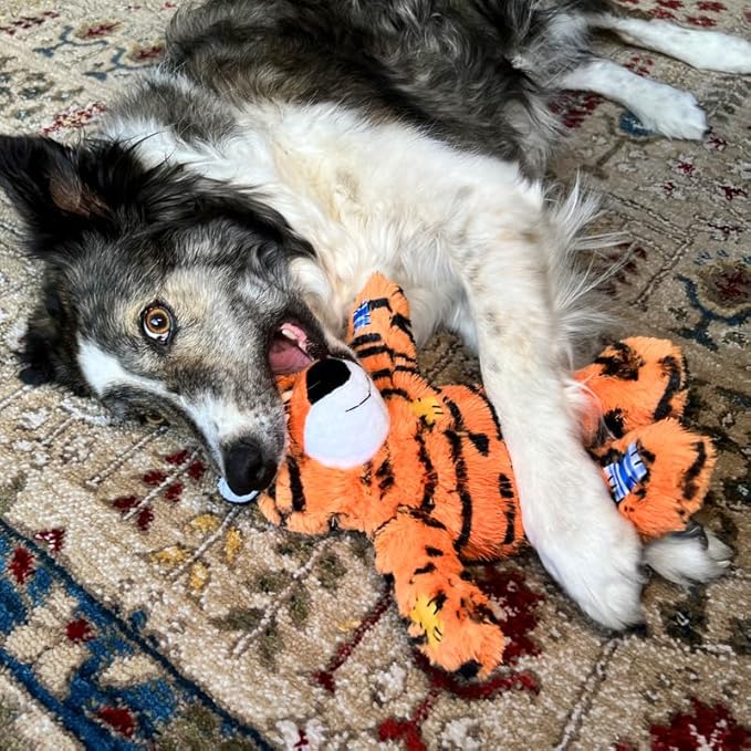 KONG Wild Knots Dog Toys – 2 Pack – Durable Plush Dog Toy with Internal Knotted Rope & Squeaker (Tiger, Small/Medium)