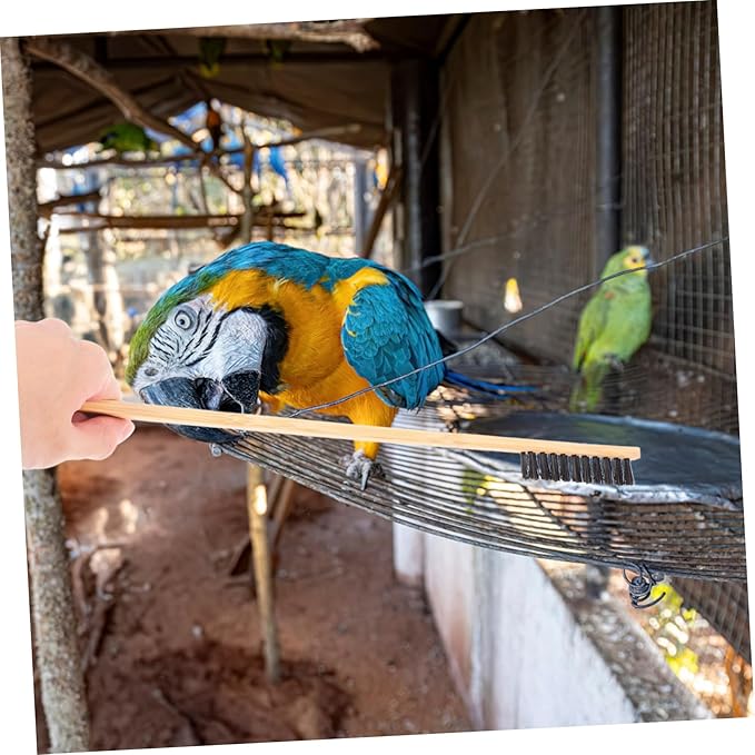 BESPORTBLE 2pcs Bird Cage Cleaning Brush Set Pet Bird Cage Cleaning Tools Brush Shovel for Stain Droppings Removal