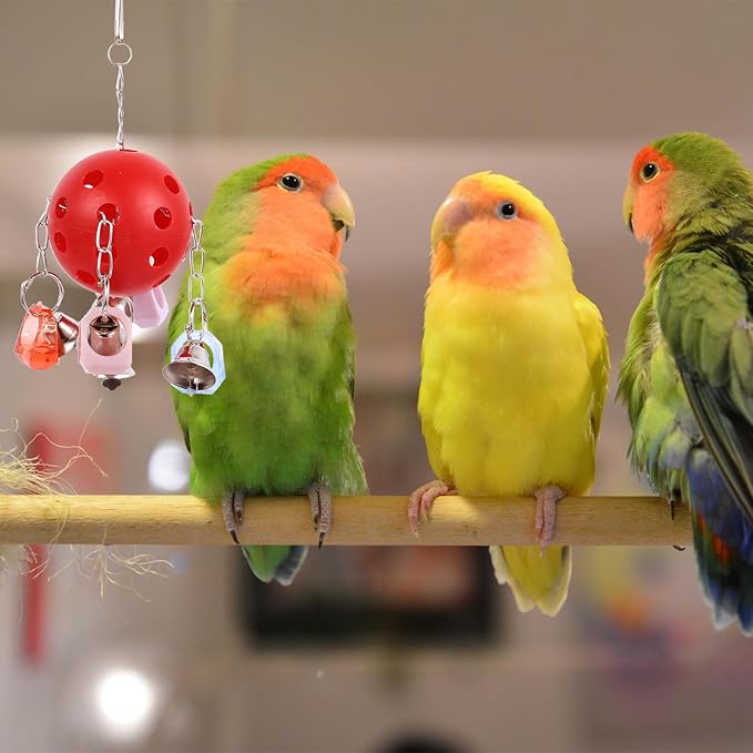 Colorful Bell Ball Bird Cage with Hanging Ring Interactive Parrot Chew for Parakeets Squirrels Small Pets Cage Decoration and Entertainment Accessory