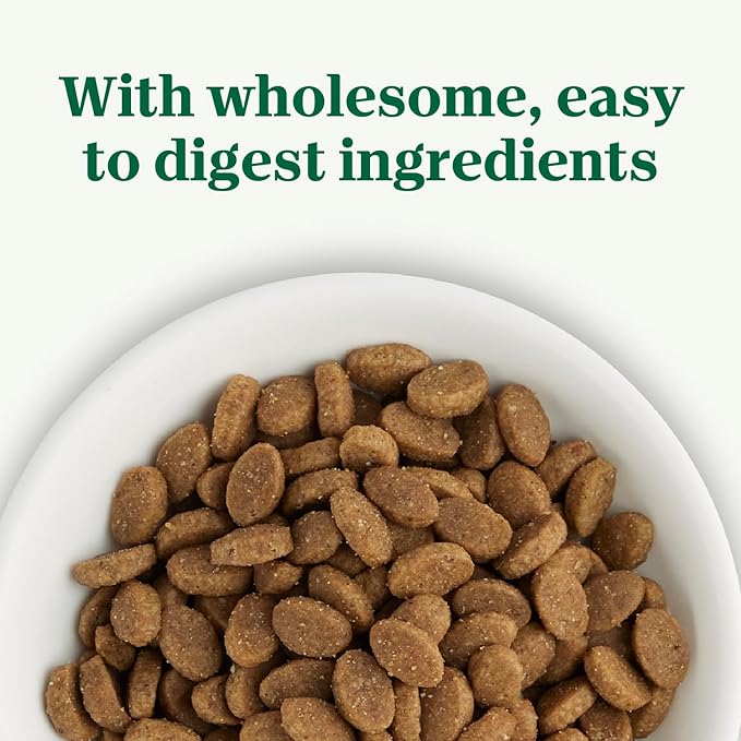 Nutro Wholesome Essentials Natural Dry Cat Food Sensitive Stomach, Chicken, Rice & Peas Recipe Cat Kibble, 5 lb. Bag