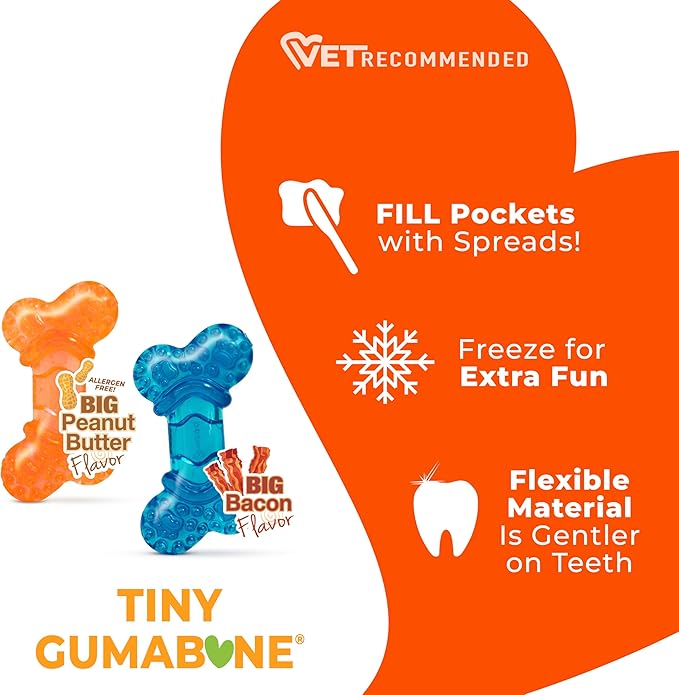 Nylabone Moderate Chew Flexi Chew Bone Peanut Butter & Bacon XX-Small/Tiny (2 Count)