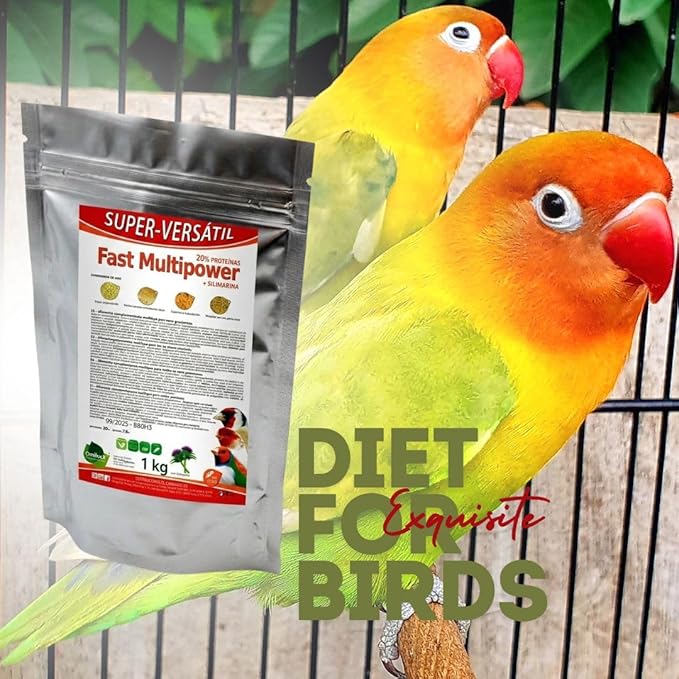 Fast Multipower is high in Protein and Fat, Excellent pet food, bird diet, bird, bird feeder, pigeon, canary and small bird, bird supplies, parrot food, bird seed, chicken feeder. 1Kg