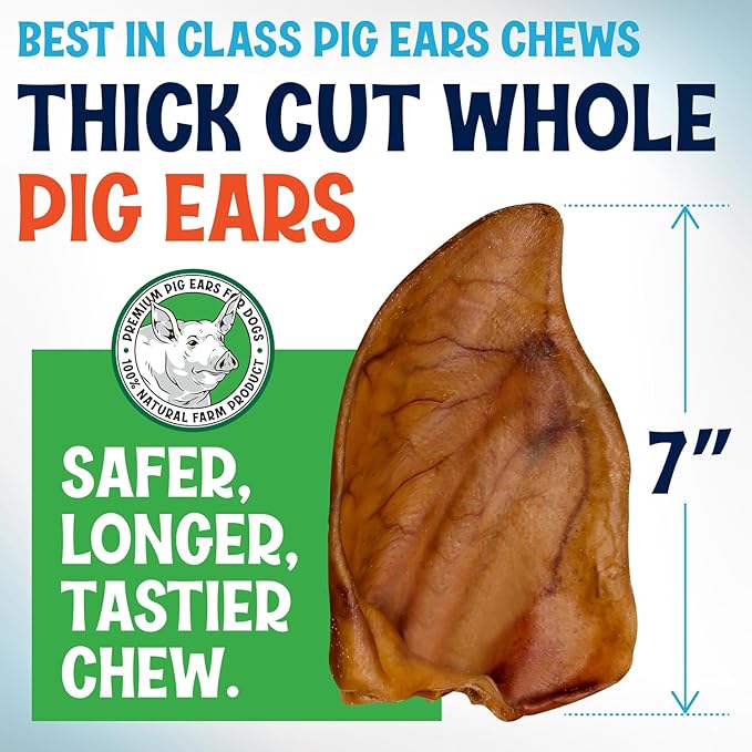 Whole Pig Ears for Dogs Large - 100 Pack Long Lasting Dog Chews - One Ingredient Delicious All Natural Flavor – Easy to Digest Dog Treat for Large Dogs - Great for Teeth and Gums