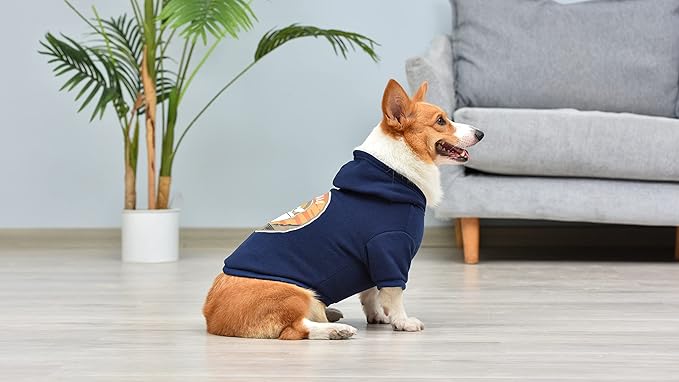 Star Wars for Pets The Mandalorian The Child Grogu Dog Hoodie with Leash Attachment Hole - Pet Outerwear for Dogs - Officially Licensed Dog Apparel & Accessories, Navy, Size Medium