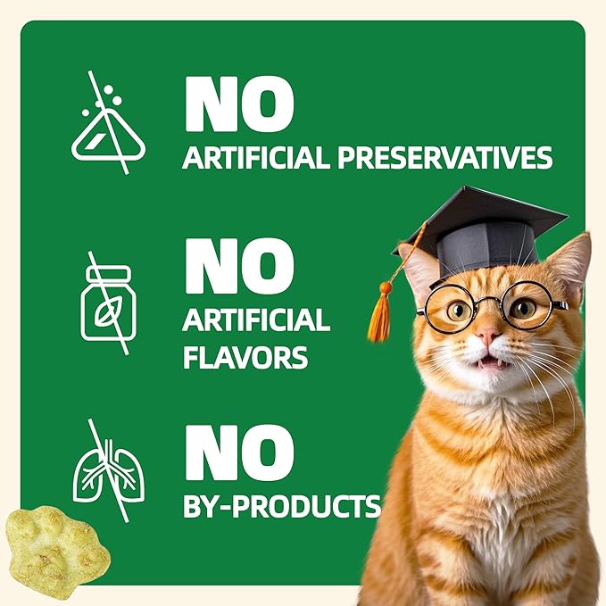 Wellix 13.05oz Cat Grass Treats with Catnip & Salmon - Healthy Cat Treats for Indoor Cats - Hairball Control & Digestive Support - Kittens Training Snacks for Teeth Cleaning