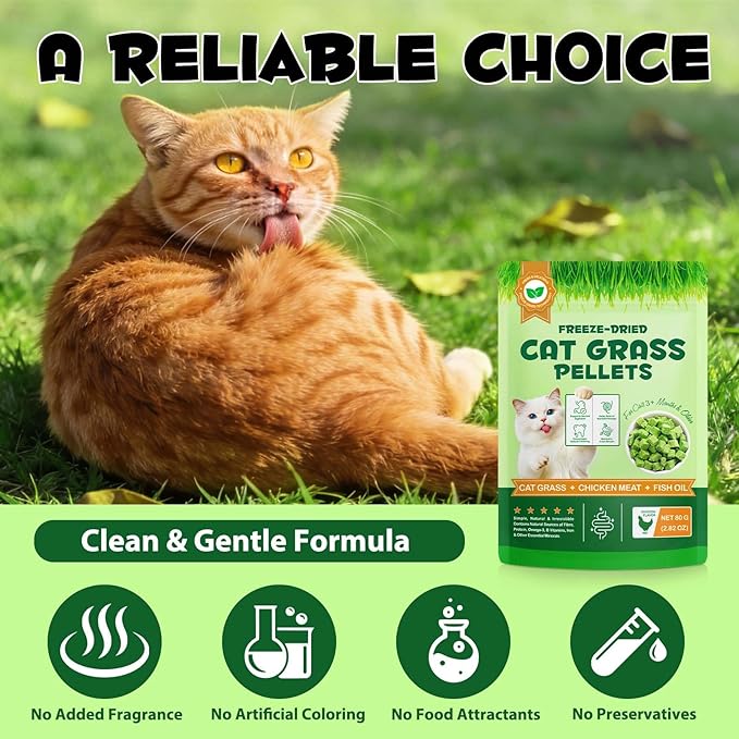Freeze-Dried Cat Grass Pellets, High Protein 60% for Hairball Control & Digestive Health, Grain-Free Cat Supplements with Chicken & Fish Oil, Crunchy Bites for Cats 3+ Months