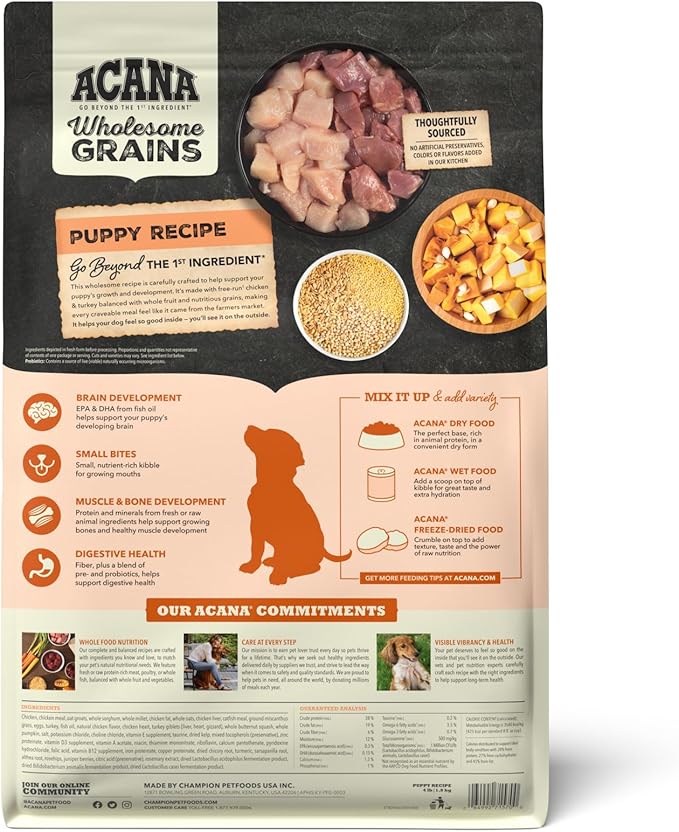 ACANA Wholesome Grains Dry Dog Food Puppy Recipe Real Chicken Eggs and Turkey 4lb Bag
