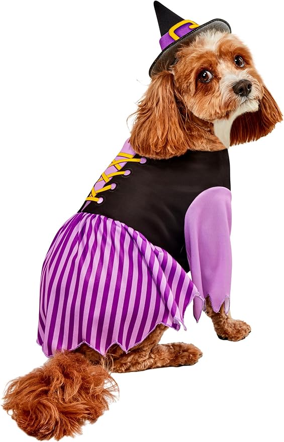 Rubies Witch Pet Costume for Dogs or Cats, Medium