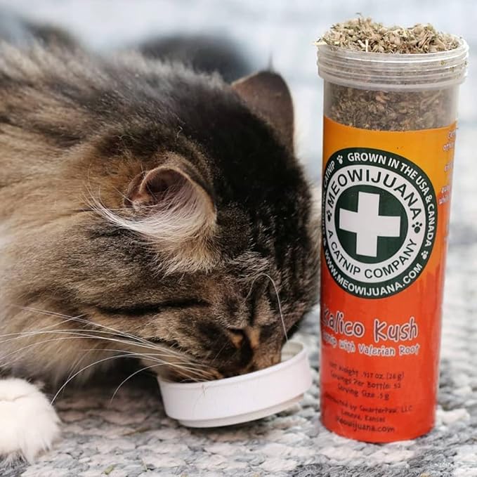 Meowijuana | Catnip Bundles | Organic | High Potency Cat Treats | Perfect for Cat Toys | Grown in The USA | Feline and Cat Lover Approved (Mice Dreams Catnip Bottle Bundle)