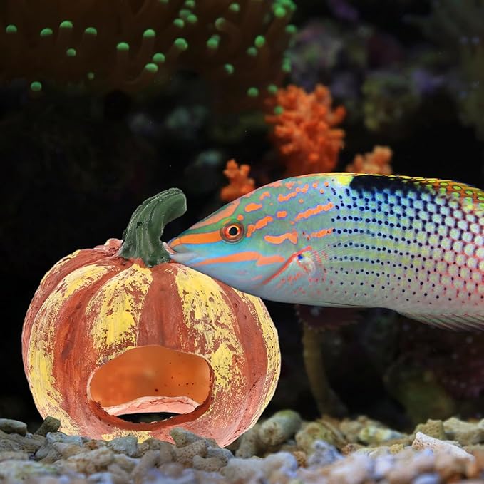 POPETPOP Pumpkin Shaped Aquarium Cave 3 Inch Resin Fish Tank Decor Shrimp Hideout Wear-Resistant Aquarium Decoration for Fish and Aquatic Pets