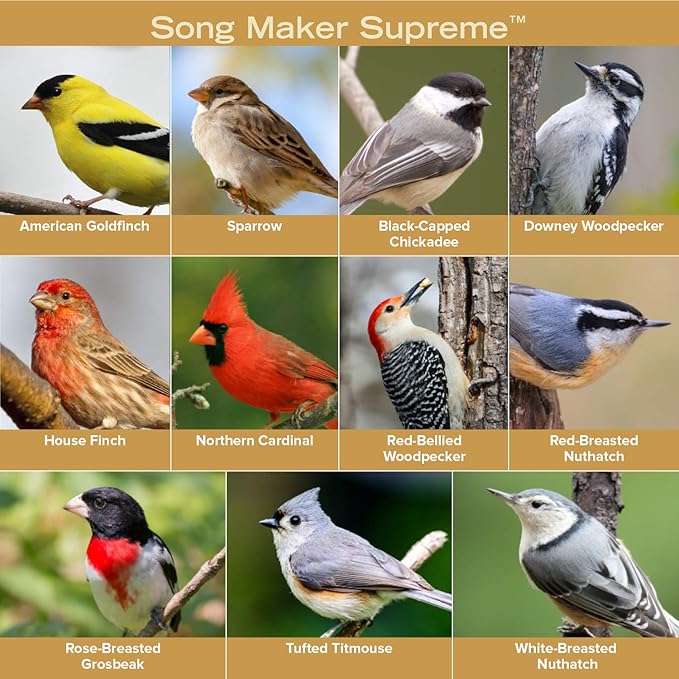 Blue Seal Song Maker Supreme Wild Bird Seed | High Energy Mix, No Fillers | Attracts Wide Variety of Wild Outside Birds | Convenient Shell-Free Mix | Made in USA | 8 Pound Bag
