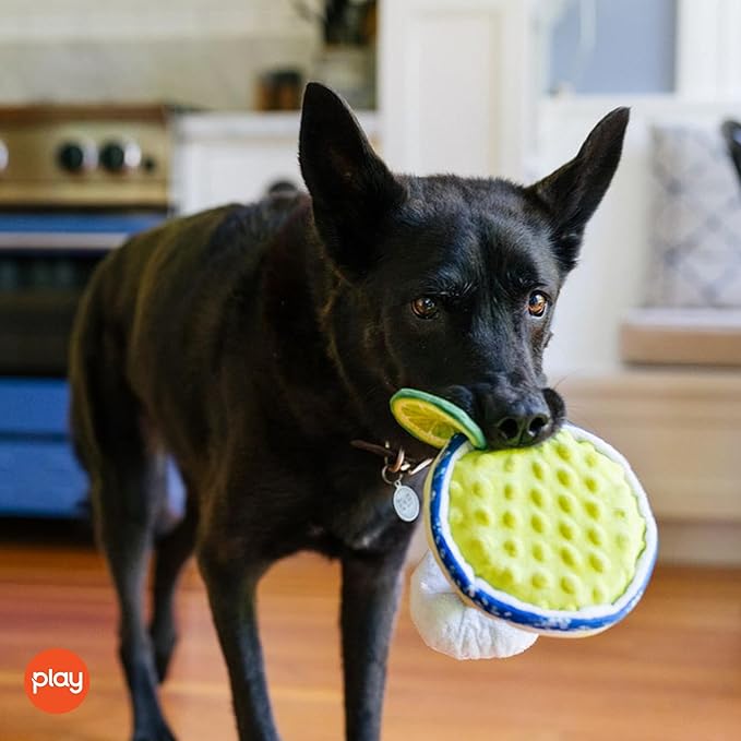 P.L.A.Y. Cute Plush Dog Toys - Barktender Bar & Drink Themed Durable Squeaker Toy, Great for Puppies & Small, Medium, Large Dogs - Hidden Rope, Crinkle, Machine Washable, Recycled Material (Margarita)