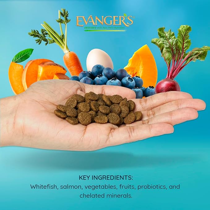 Evanger's Grain Free Whitefish and Sweet Potato Recipe with Salmon Meal Dry Food for Dogs – 16.5 lb – Chicken & Poultry Free, Prebiotics, Coconut Oil, All Life Stages