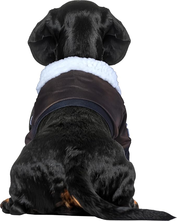Top Gun: Maverick Pet Costume for For Dogs or Cats by Rubies, XL