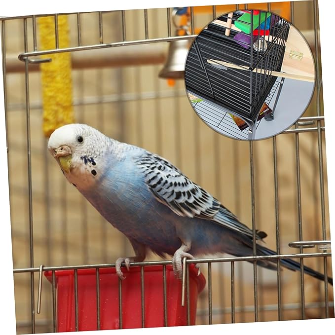 Angoily 4pcs Bird Cage Cleaning Tool Set and Handle Brush and Shovel for Efficient Parrot Cage Maintenance Random for Daily Cleaning