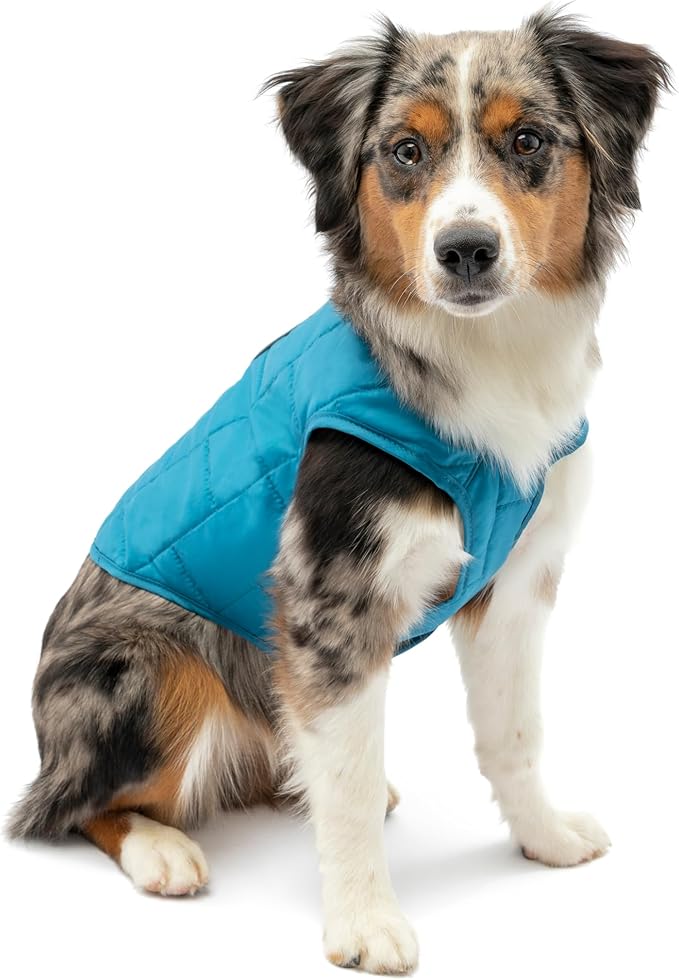 Kurgo Loft Dog Jacket - Reversible Cozy Coat for Outdoor Adventures - Water Resistant - Athletic Fit - Machine Washable Fabric - Reflective Dog Gear - Small - Coastal Blue