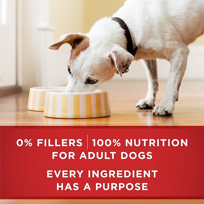 Purina ONE Plus Tender Cuts in Gravy Healthy Weight Lamb and Brown Rice Entree in Wet Dog Food Gravy - (Pack of 12) 13 oz. Cans