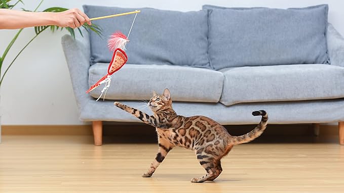 Friends The TV Show Cat Toy Joey Loves Pizza Catnip Wand, Catnip Inside | Friends for Pets | Interactive Toy for Cats, Dancing Teaser with Ribbons | Cat Exercise Toy with Feathers and Catnip