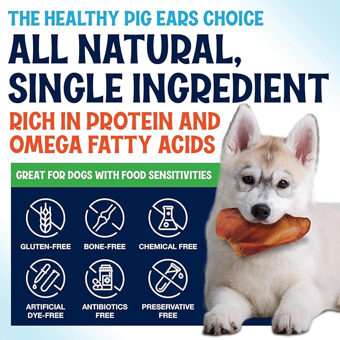 Whole Pig Ears for Dogs Large - 200 Pack Long Lasting Dog Chews – One Ingredient Delicious All Natural Flavor – Easy to Digest Dog Treats for Large Dogs - Great for Teeth and Gums