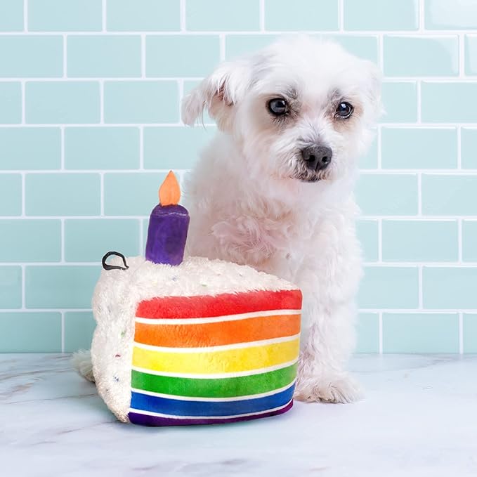 Huxley & Kent Funny Dog Toy w/Squeaker – Birthday Power Plush Squeaky Dog Toys for Small, Medium & Large Dogs – Soft Stuffed Animal for Indoor Play & Fetch - Funfetti Cake, Large