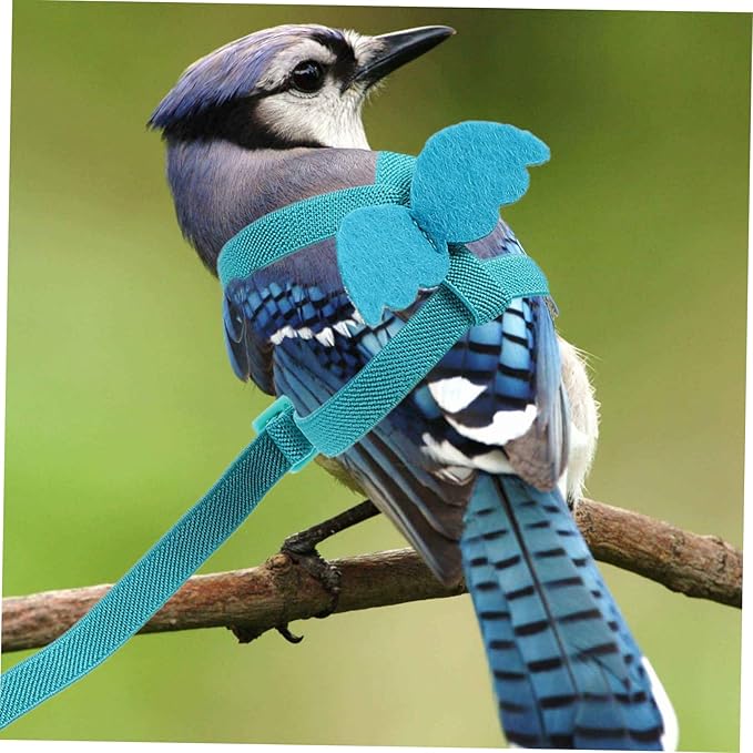 balacoo 2pcs Portable Parrot Wear-Resistant Bird Leash for Outdoor Flying and Training for Parrots Parakeets Chickens Bird Accessory for Safe Adventures