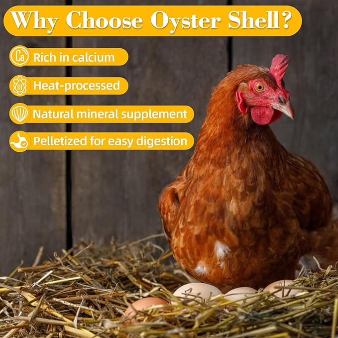 RAINFLOW Crushed Oyster Shell for Chickens - 15oz Calcium Supplement for Laying Hens, Supports Strong Eggshells,Natural Poultry Mineral for Backyard Chickens (Pack of 2)