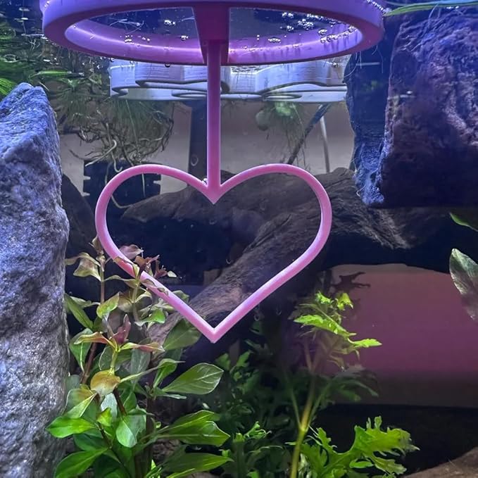 Floating Heart Betta Training Ring, Heart Active Betta Training Floating Ring, Floating Feeder, Betta Loops for Aquarium Decor, Pink, 3.8in x 3.7in (Pink, Single)