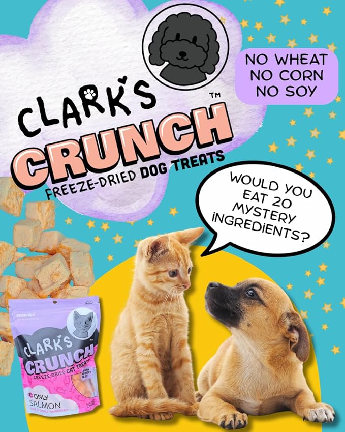 | Freeze Dried Cat Treats | Beef Liver, Single Ingredient | Grain Free Training Treats for Cats, 2 oz Pouch