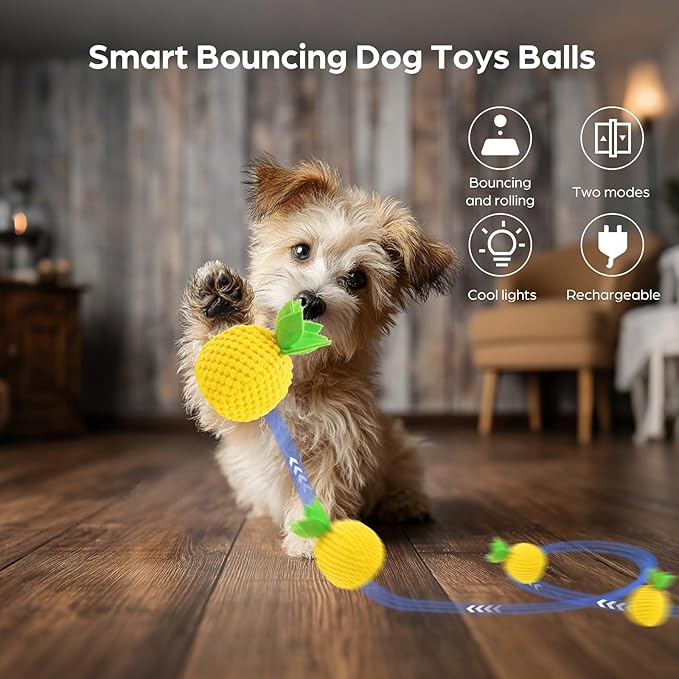 2Pcs Interactive Dog Ball Toys,Smart Small Medium Dog Toys to Keep Them Busy with 3 Cover, Automatic Rolling and Jumping Pet Balls Ball for Dogs,Pet Interactive Toy Balls.Not for Aggressive Chewers.