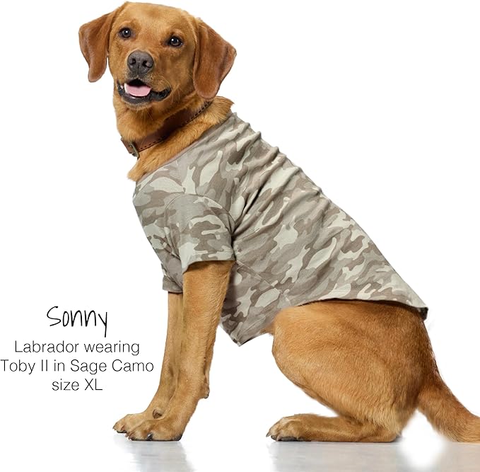 Pet Passion Toby II - The Perfect Tee, 3 Pack Short Sleeve Pet T-Shirt 100% Organic Cotton Tees Clothes for Small, Medium, Large Dogs, Sage Camo, Small (10-25 lbs)