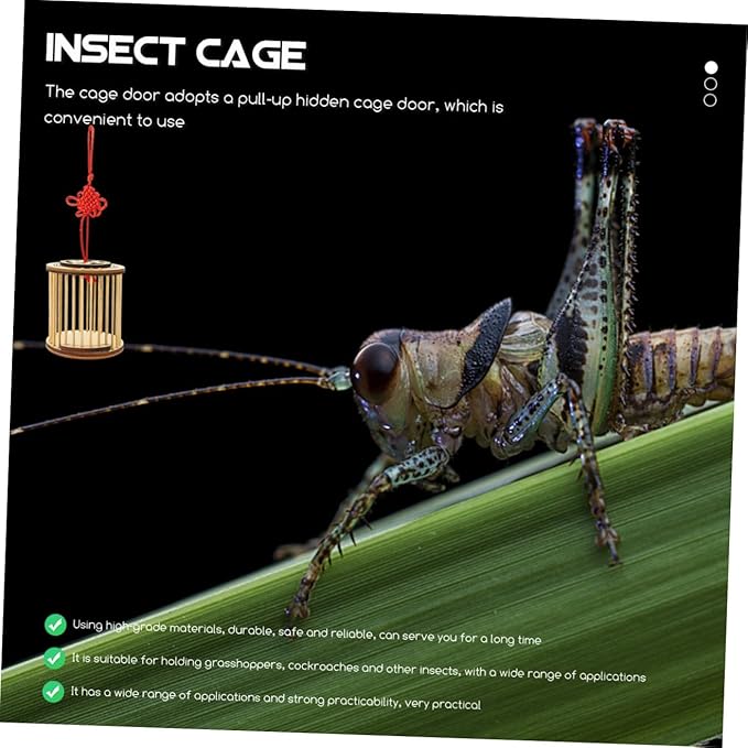 Bamboo Insect Keeper Cage Portable Storage Container Tubes and Feeding Accessories for Observation