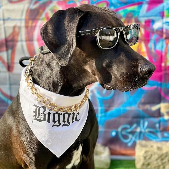 Biggie Matching 90's Hip Hop Dog Bandana (White, XS 403)